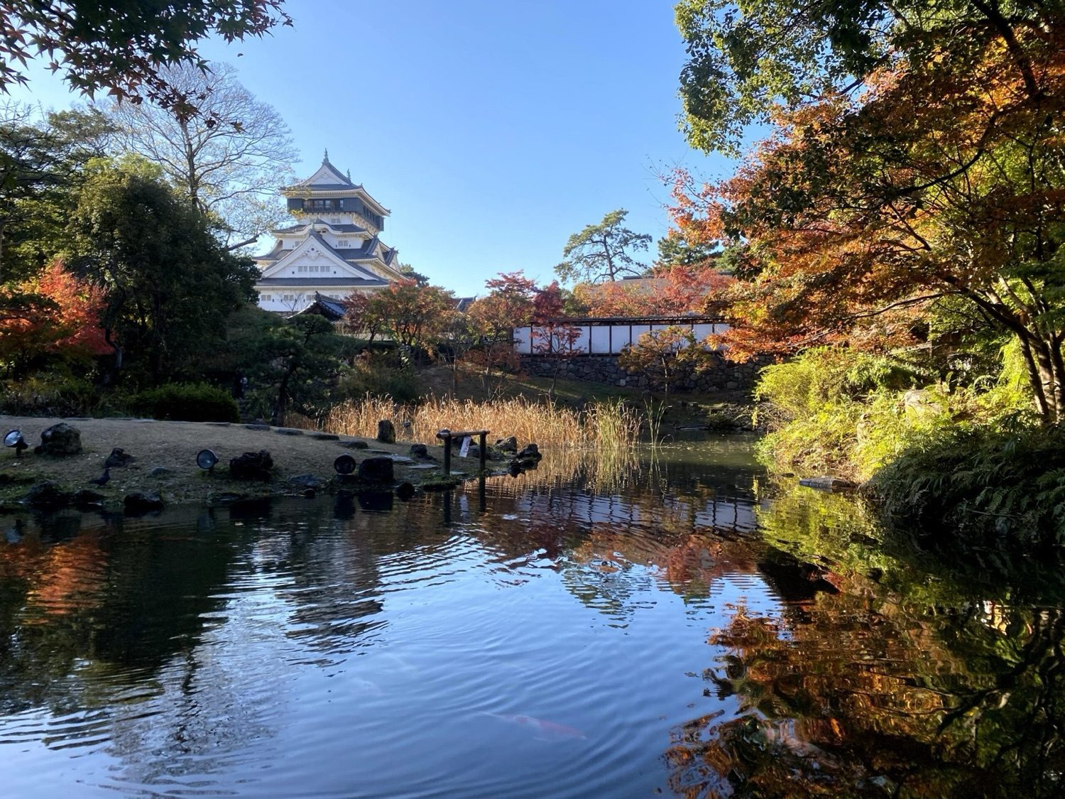 小倉城庭園 – 水と緑が織りなす美しい景観