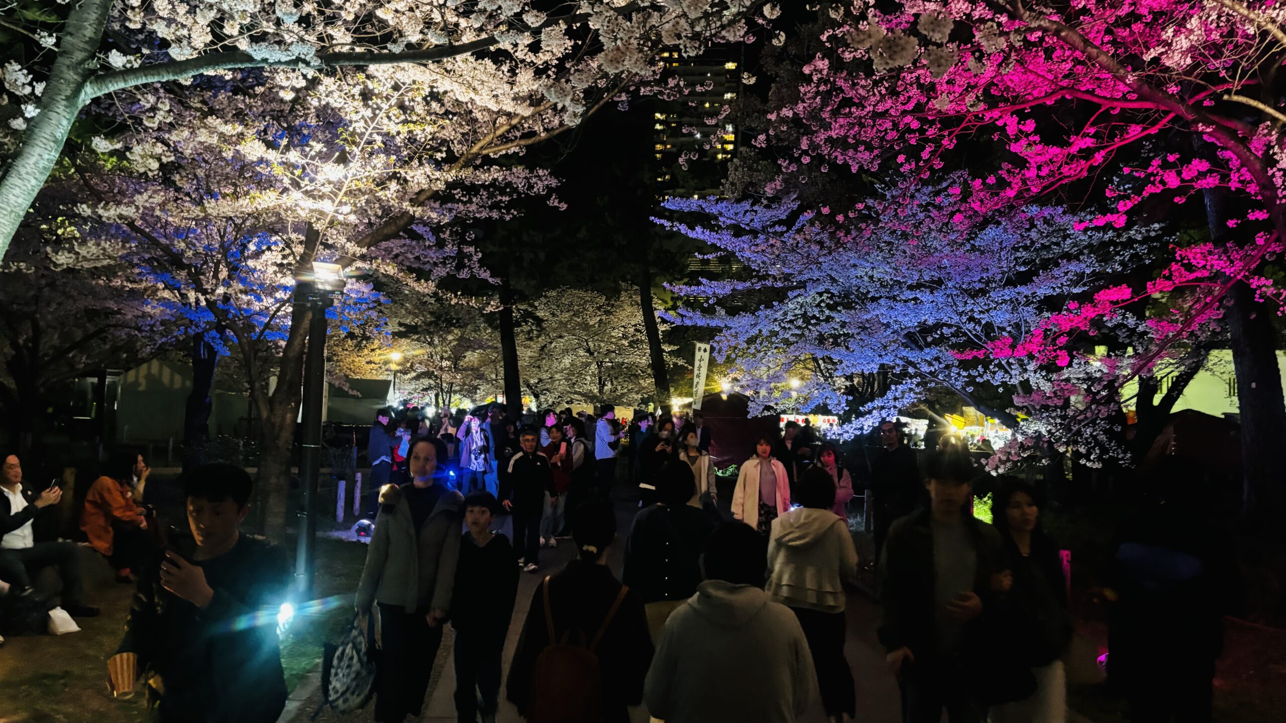 求正美、【見付天神】、希少画集画、風景、自然、さくら Yahoo